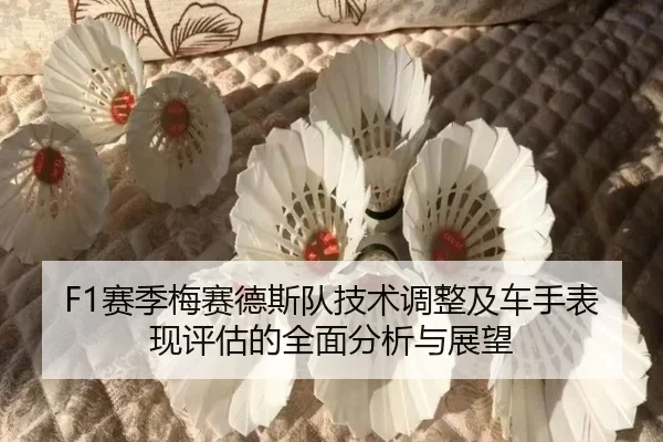 F1赛季梅赛德斯队技术调整及车手表现评估的全面分析与展望